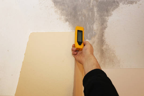 Best Post-Remediation Verification Testing  in Atlanta, TX