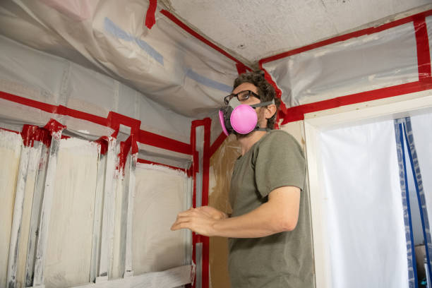 Best Mold Documentation for Insurance Claims  in Atlanta, TX