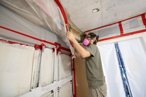 Best Comprehensive Air Testing for Mold Contaminants  in Atlanta, TX